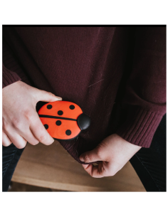 Brosse pour textiles coccinnelle 2