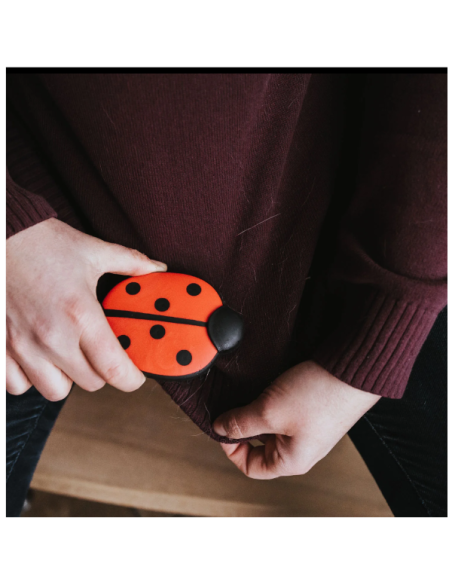 Brosse pour textiles coccinnelle