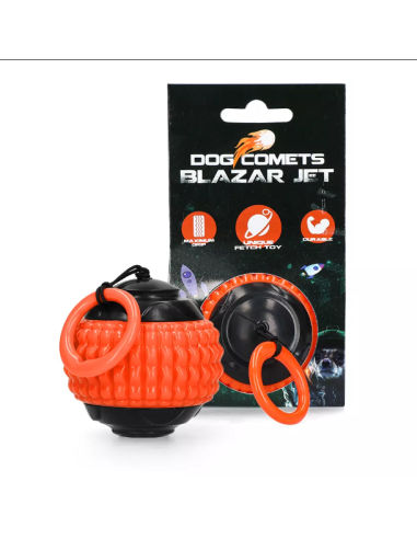 Balle Blazar Jet - Dog comets